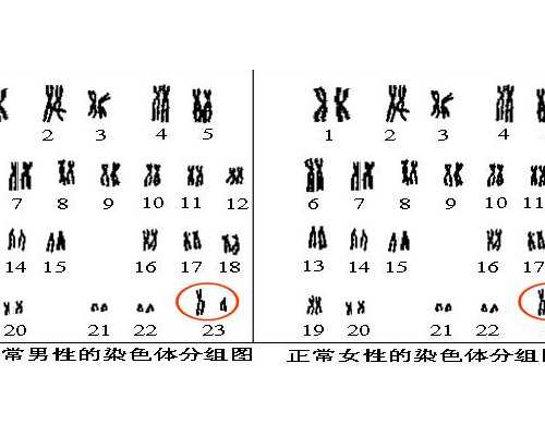 广东助孕公司：龙凤胎助孕网助您实现人工受孕