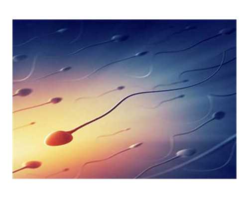 辅点医院办理指南及试管婴儿费用解析