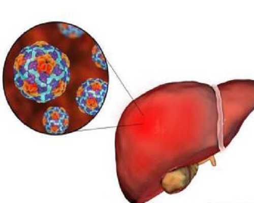 东莞试管助孕权威指南：2026上海高成功率助孕医院及费用详解