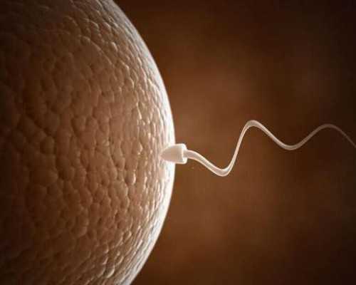 东莞代怀妈妈优选：一流私立医院实验室，助力试管婴儿圆梦