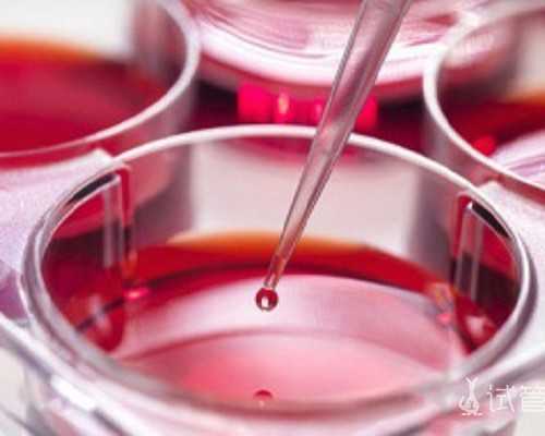 2026东莞广济医院试管费用明细,东莞私立医院做第三代试管包生男孩要多少费用