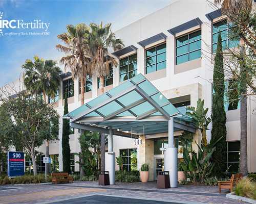 东莞私企生育津贴与工资差额计算指南及试管婴儿费用解析