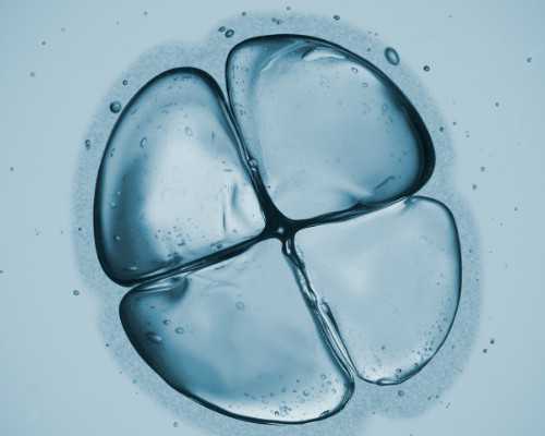 解析东莞热门试管婴儿医院及宫寒不孕的传统疗法