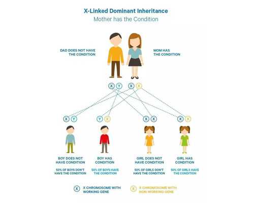 东莞助孕：揭秘试管婴儿技术、费用与成功率，助您圆梦家庭