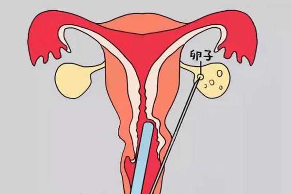 如何评估女性卵巢功能好不好？